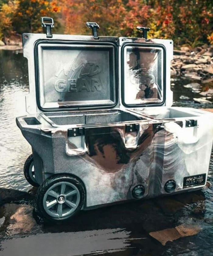 ワイルドギア